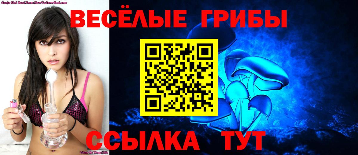Сафоново  Псилоцибиновые грибы Psilocybine cubensis  Вход с VPN 